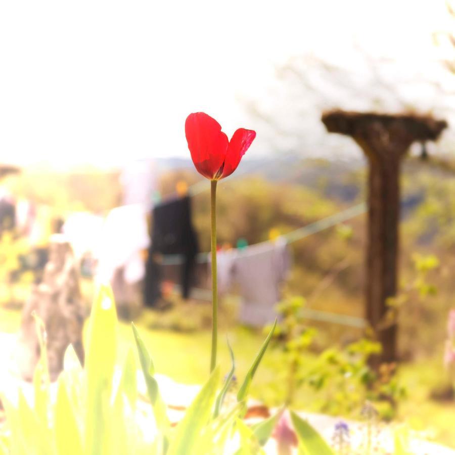Le Gite Des Cimes Tulle Esterno foto