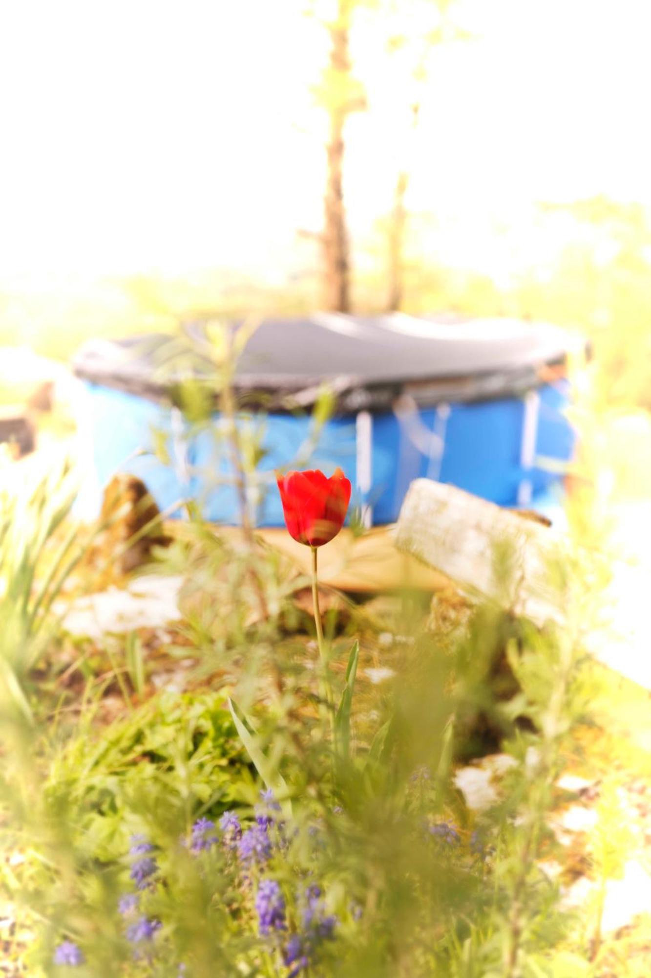 Le Gite Des Cimes Tulle Esterno foto